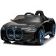  LICENSE BMW 12V9A